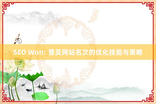 SEO Won: 普及网站名次的优化技能与策略