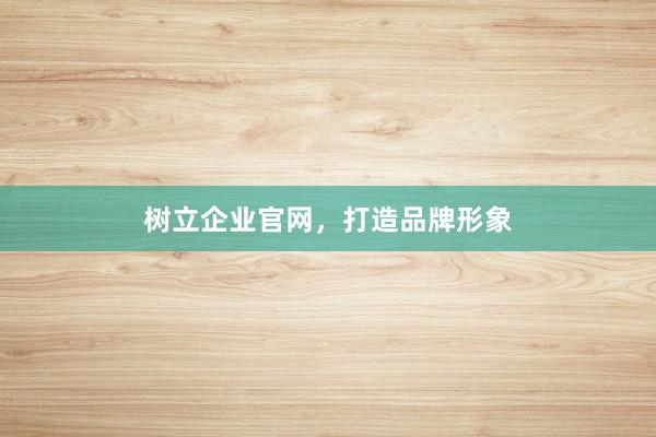 树立企业官网，打造品牌形象